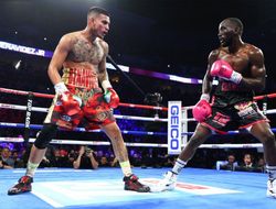 фото - Возвращение Бенавидеса: американец подерётся с экс-чемпионом мира