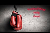 Видео боя: Эмануэле Бландамура — Алессандро Годди, HD 1080