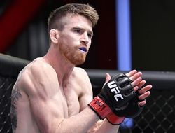 фото - Стерлинг против Яна на UFC 273. Бывший соперник бойцов высказался об их реванше
