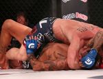 Bellator 137: Хэлси победил Гроува, Дантас справился с Ричманом