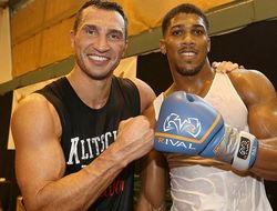 фото - Хитров, Митрофанов и Матвийчук — о бое Владимира Кличко и Энтони Джошуа