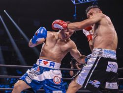 фото - Перспективный Крус побил бывшего чемпиона мира «Бандита» Варгаса: видео