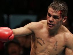 фото - Хуан Карлос Ревеко нокаутировал Вор Саенгтепа