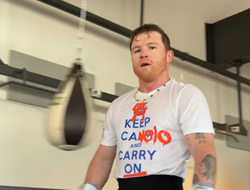 фото - Злой Канело лупит по макиваре: «Мазафакеры, я всегда готов!» — видео