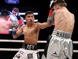 фото - Одной строкой: новый оппонент Мартинеса, дата Гловацки-Околи и Накатани-Маграмо