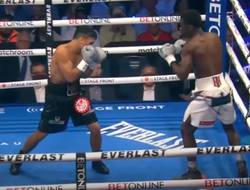 фото - Хитчинс и Лемос определяли претендента для Матиаса: видео