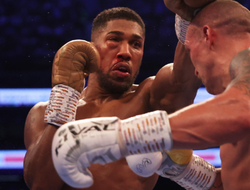 фото - Джошуа не ищет нового тренера. Но ему были нужны перемены — Хирн