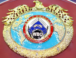 Барбоса и Кэттеролл определят претендента для Теофимо Лопеса — решение WBO