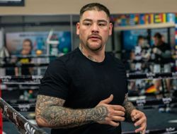 фото - Озвучены официальные гонорары Арреолы и Руиса 