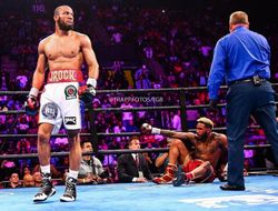 фото - Новый чемпион Уильямс: Готовясь к Хёрду, я жил в отеле со шлюхами