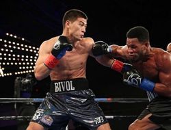 фото - В конце года Бивол намерен провести объединительный бой — менеджер