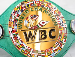 фото - «Тяжёлые» решения WBC: что ждёт чемпионов Риваса и Макабу