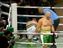 Легенды UFC дебютировали в боксе: видео и результат