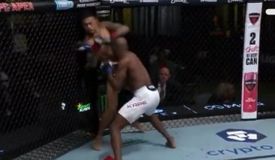 Капе уничтожил Ройвэла. Все результаты UFC Vegas 112