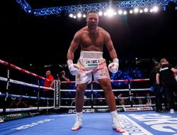 фото - Усик откажется от боя с Джойсом? Беллью встал на защиту украинца