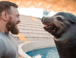 фото - Криопроцедуры Гвоздика, Забит разгрузился гольфом, семья Макгрегоров с морским хищником — соцсети