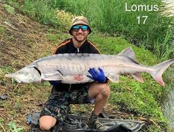 фото - Ломаченко словил монстра на 38 кг, анимация боя Фергюсон - Серроне, Сехудо на кресле-каталке