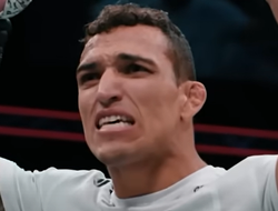 фото - Макгрегор больше никогда не будет драться — прогноз экс-чемпиона UFC