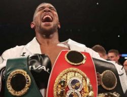 фото - Менеджер Уайлдера: Похоже, Джошуа сперва подерётся с Уайтом, а осенью с Усиком