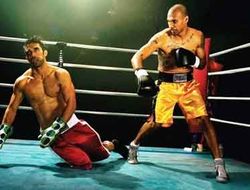 фото - В каких БК лучше всего делать ставки на бокс