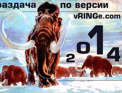 фото - Итоги 2014 года по версии vRINGe.com