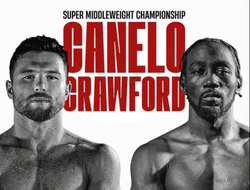 фото - Запущен «обратный отсчёт» к мегафайту Альварес-Кроуфорд: видео