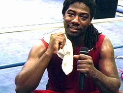 фото - Фьюри снова выиграет у Кличко, а Уайлдер побьёт Поветкина — Мартин