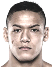 Костелло ван Стинис