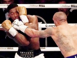 фото - Уоррен: «Джошуа — не Али, на этот раз Усик его добьёт»