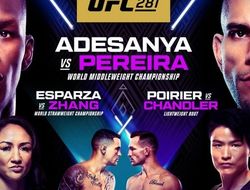 фото - UFC 281: Адесанья – Перейра. Где смотреть, когда начало трансляции