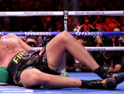 фото - Если Фьюри будет драться с Уайтом так же, как дрался с Уайлдером — Льюис и Хэттон