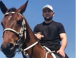 фото - Нурмагомедов о новом контракте с UFC: Поставил им пять условий, я себе знаю цену