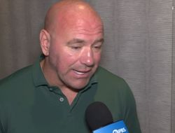 фото - Дэйна Уайт идёт спасать бокс. Заявление бизнесмена