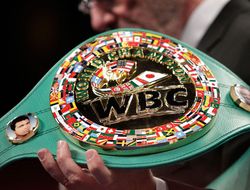 фото - В WBC обнародовали дебютный топ бриджервейта — он ужасен