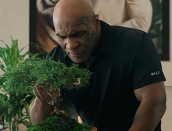 фото - Майк Тайсон назвал «фундаментальную разницу» между ним и Джейком Полом