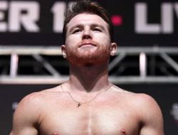 фото - Альварес уже не чемпион IBF, титул разыграют Деревянченко и Головкин