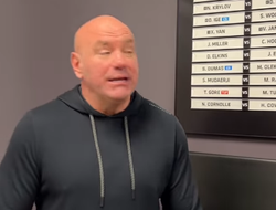 фото - Босс Netflix прокомментировал слухи о том, что они выложат миллиарды за контракт с UFC