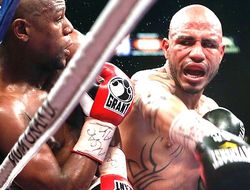 фото - Роуч хочет задеть Мэйуэзера яркой победой Котто над Альваресом