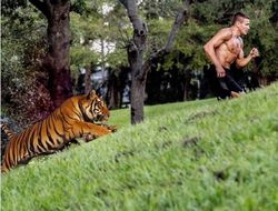 фото - Вести из соцсетей: Мосли нахваливает Ломаченко, Баранчик убегает от тигра, Валуев «крышует» Питер  