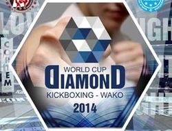 фото - 23 сентября в Анапе стартует Кубок мира по кикбоксингу