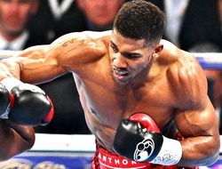 фото - IBF: Джошуа и Такам должны разыграть статус обязательного претендента