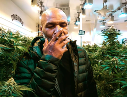 фото - Майк Тайсон — Рой Джонс: марихуана дозволена, бой оценят экс-чемпионы