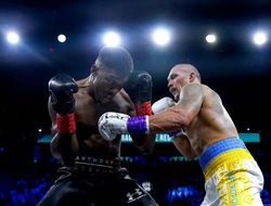фото - Фьюри-Усик и Джошуа-Уайлдер? Беллью уверен, что всё намного проще