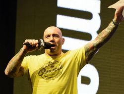 фото - Величайший боец ММА всех времён. Роган объяснил, почему это Нурмагомедов