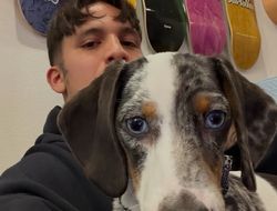 фото - Уайт и Хирн устроили гонку за паундовым Родригесом. «Бам» уже сделал выбор