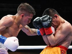 фото - Сенсационный Родригес выступит на разогреве у Канело и Головкина