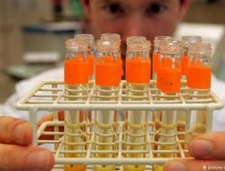 фото - Третий тест Сауля Альвареса — следов запрещённых препаратов не выявлено