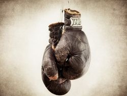 фото - Назначены рефери и судьи на бой Александра Гвоздика и Артура Бетербиева