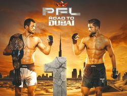 фото - Прямая трансляция PFL Champions Series: Усман Нурмагомедов – Алфи Дэвис. Смотреть онлайн