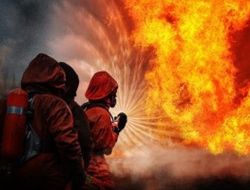 фото - Видео: послание Уайлдера – чемпион сжёг рептилию